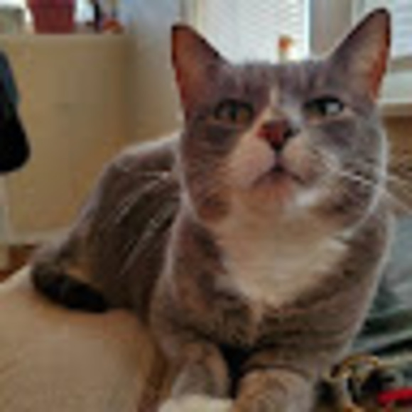 Meet your Posher, A - Picture 1 of 1